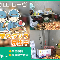 【週3〜OK！時給950円〜未経験者大歓迎♪野菜や果物の仕分けス...