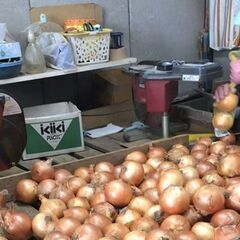 【週3〜OK！時給950円〜未経験者大歓迎♪野菜や果物の仕分けスタッフ！勤務時間も応相談OK♪】の画像