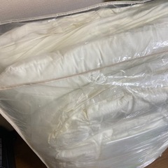 敷布団と掛け布団のセットの画像