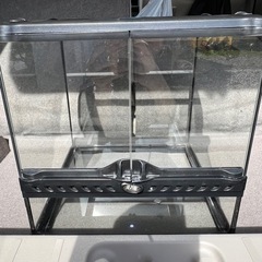 【決まりました！】② ＧＥＸ　エキゾテラ　グラステラリウム　３０３０　爬虫類　飼育　ケージ　ガラスケージの画像