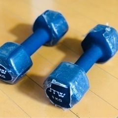 鉄アレイ5kgの画像