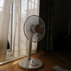 ニトリ リモコンリビング扇風機