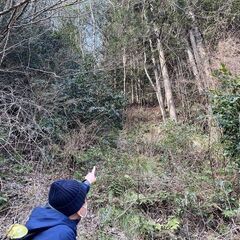 【成約済】山林物件　京都府亀岡市 - 亀岡市