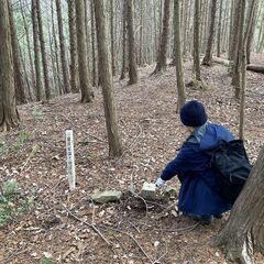 【成約済】山林物件　京都府亀岡市 − 京都府