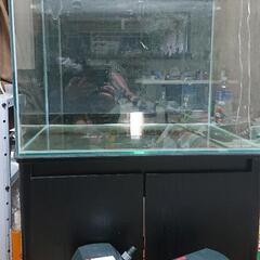 ADA602G付き水槽セット