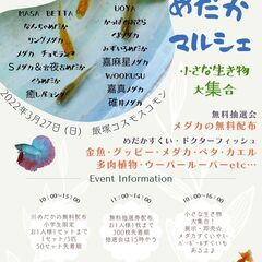 めだかマルシェINイイヅカコスモスコモン芝生広場