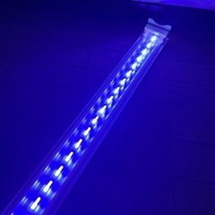 LEDライト　水槽　ゼンスイ　シャイニングブルーの画像