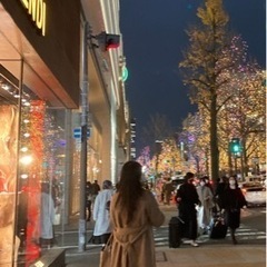 今日まで　コート　ライトモカの画像