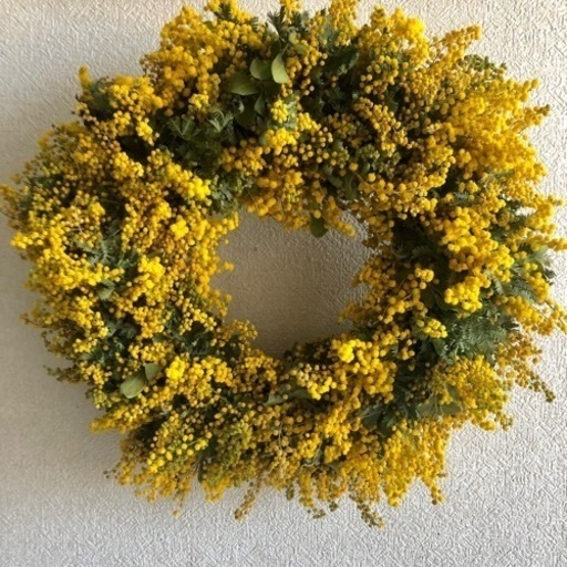 ミモザリース  pgd