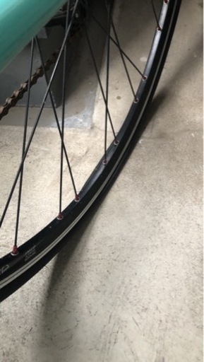 Bianch Camereonte 2 
