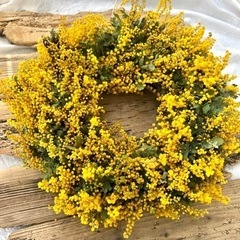 ミモザ　花部分