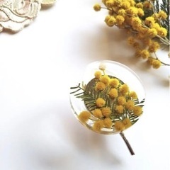ミモザ　花粒wmjの画像