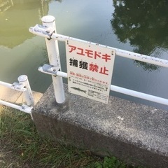 日淡好きの生存確認してみました…。 - その他