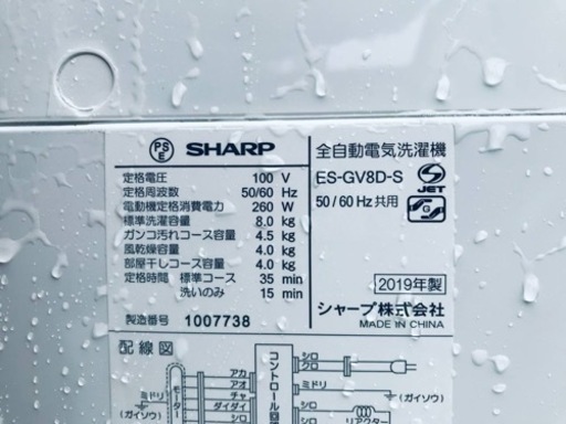 ③✨2019年製✨1783番 SHARP✨全自動電気洗濯機✨ES-GV8D-S‼️ 