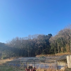 アヒル小屋の解体　ボランティア大募集中！
