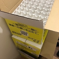 紙製卵パック（トレー）３０枚