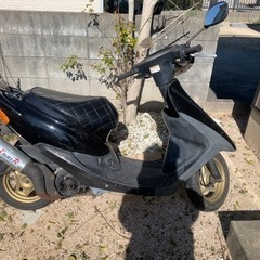 ライブdiozx