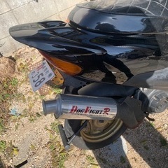 ライブdiozxの画像