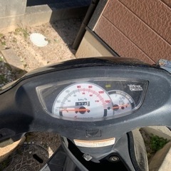 ライブdiozxの画像