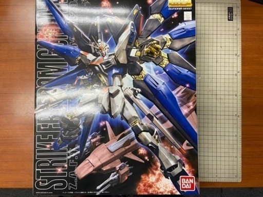 ストライクフリーダムガンダム　　MG  1/100