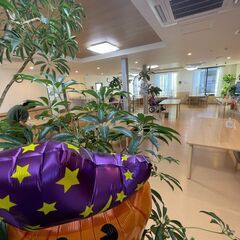 厨房・調理スタッフの画像