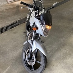 【商談中】YBR125 2014年式の画像