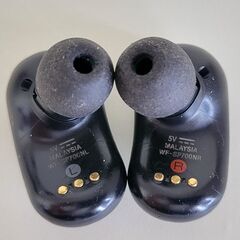 ワイヤレスイヤホン SONY WF-SP700Nの画像