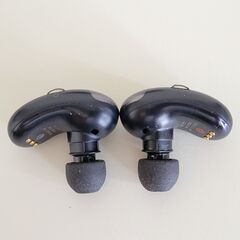ワイヤレスイヤホン SONY WF-SP700Nの画像