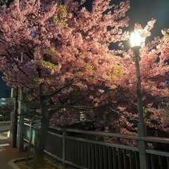 板橋区の友達募集