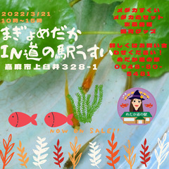 メダカマルシェIN道の駅うすい