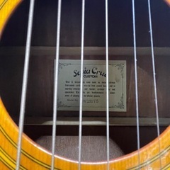 セピアクルー アコースティックギター W250TS ☆その他多数出品中！☆の画像