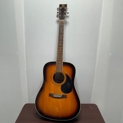 セピアクルー アコースティックギター W250TS ☆その他多数...