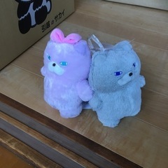 かわいいネコ