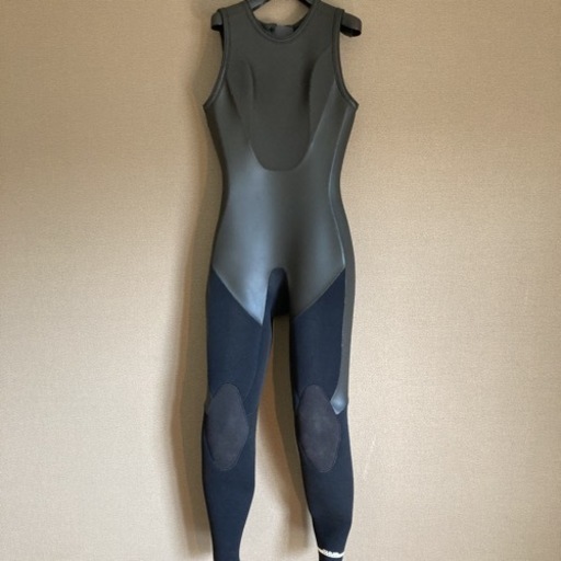 シーガルとタッパ