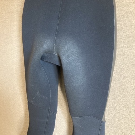 シーガルとタッパ
