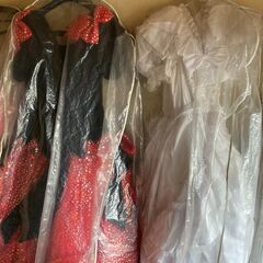【購入者さん、決まりました！】【コスプレ ドレス 岐阜でお探しの...