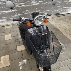 ホンダ　トゥデイ　スクーター原付