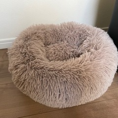 ★新品★ ペット用　ペットの画像