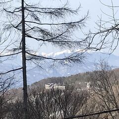 蓼科東急リゾート・森の中の別荘。徒歩圏内でセカンドライフのすべてが揃う！  高原の季節を感じ、スキー・ゴルフ・テニスに温泉・レストランなどの施設が広大な敷地内にあり、 永住・長期滞在にも便利。また下界の暑さにも、ここではクーラー不要です - 不動産