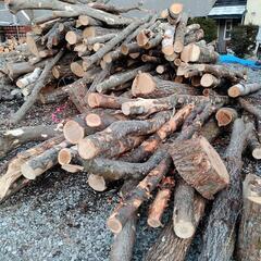 薪用原木売ります　※一旦募集停止の画像