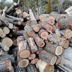 薪用原木売ります　※一旦募集停止の画像