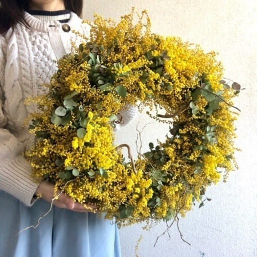 ミモザリース  pjd