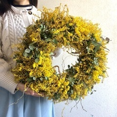 ミモザリース  pjd