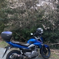 バイク旅友　募集します - 友達
