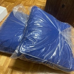 トゥルースリーパー低反発座布団【取引決まりました】