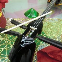 900円　沖縄三線専用唄口粗材　未加工牛骨約20cm  標準の約９個分
