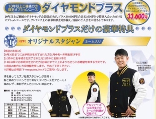 阪神タイガース　スタジャン　L size