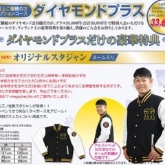 阪神タイガース　スタジャン　L sizeの画像