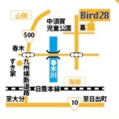 ヒメウズラ(姫うずら)の孵化用有精卵１個１５０円〜販売しています！ - 地元のお店