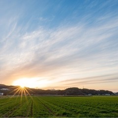 カメラ仲間募集です。